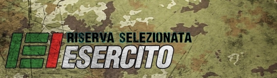 15 maggio In punta d'anfibio: professionisti volontari per l'Esercito italiano