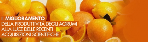 Agraria: 29 maggio seminario Il miglioramento della produttività degli agrumi alla luce delle recenti acquisizioni scientifiche