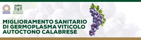 Convegno "Miglioramento sanitario di germoplasma viticolo autoctono calabrese"