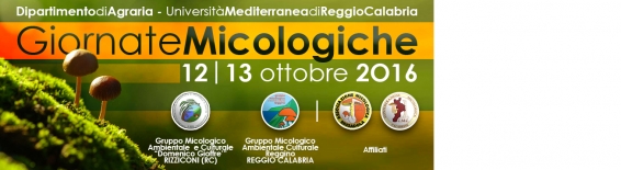 12 e 13 ottobre Giornate Micologiche