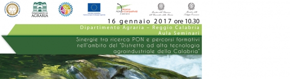 Resoconto convegno "Sinergie tra ricerca PON e percorsi formativi nellambito del Distretto ad alta tecnologia agroindustriale della Calabria