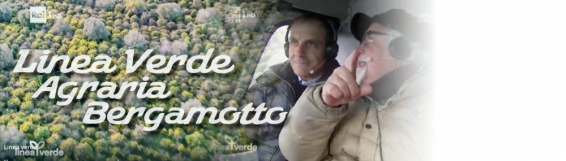 Agraria: A Rai Uno su Linea Verde si parla di Bergamotto