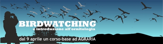 Corso Birdwatching