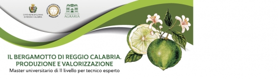 Master II livello Tecnico Esperto su Il bergamotto di Reggio Calabria. Produzione e valorizzazione|Bando e domanda|