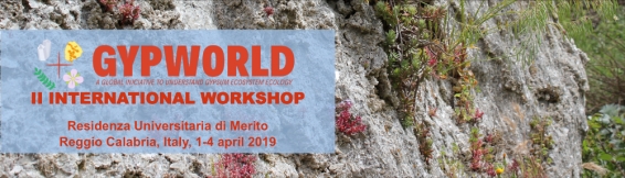 2-3 aprile II International workshop GYPWORLD