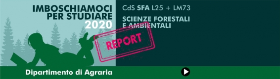 Conclusa con successo liniziativa IMBOSCHIAMOCI 2020, svolta in collaborazione tra il Dipartimento Agraria e il Parco dellAspromonte